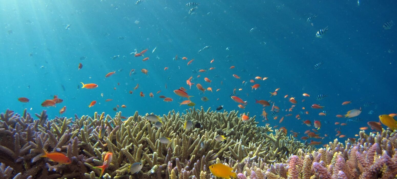 hiroko-yoshii-9y7y26C-l4Y-unsplash