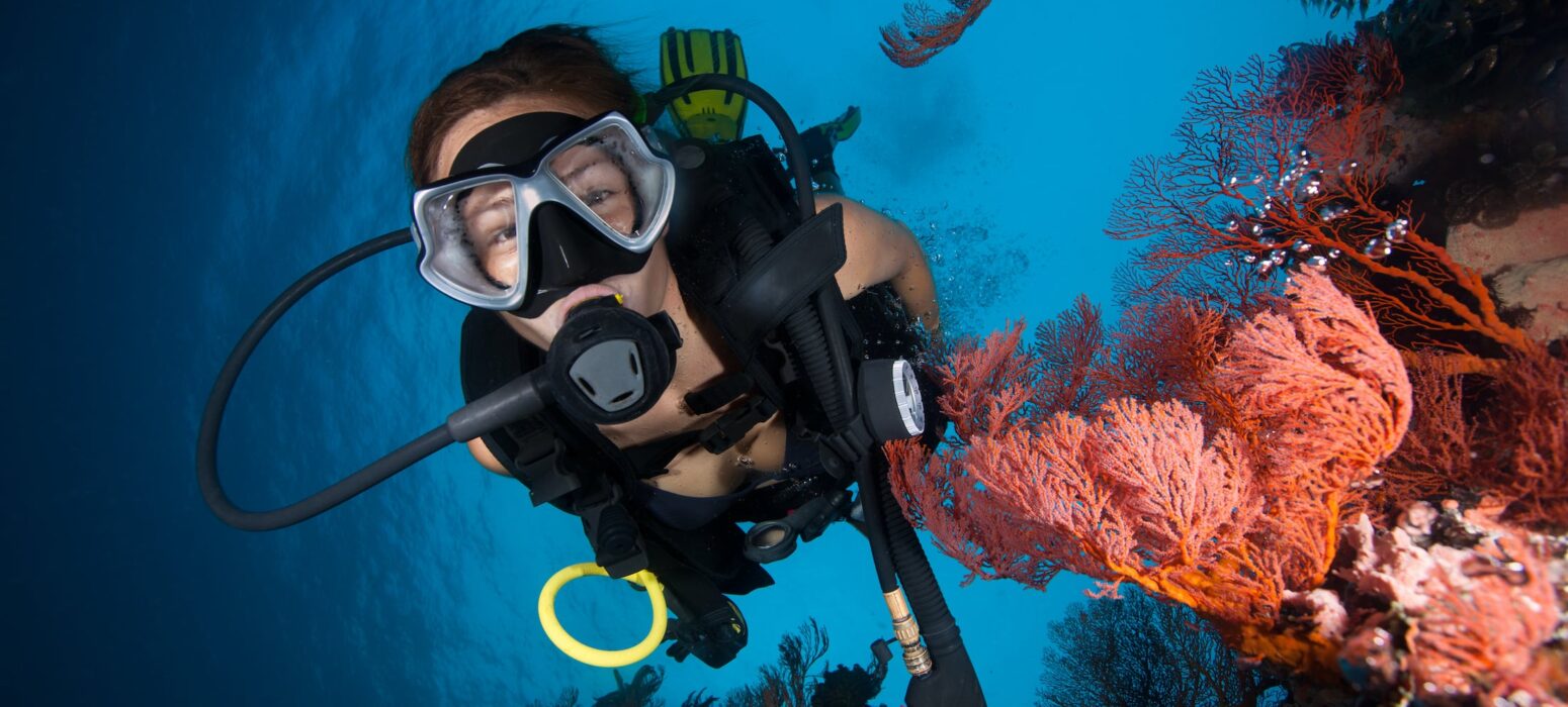 shutterstock_514425874