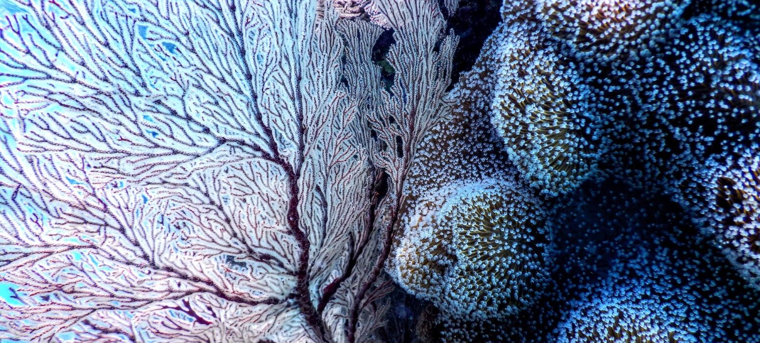 tomoe-steineck-T1Wru10gKhg-unsplash