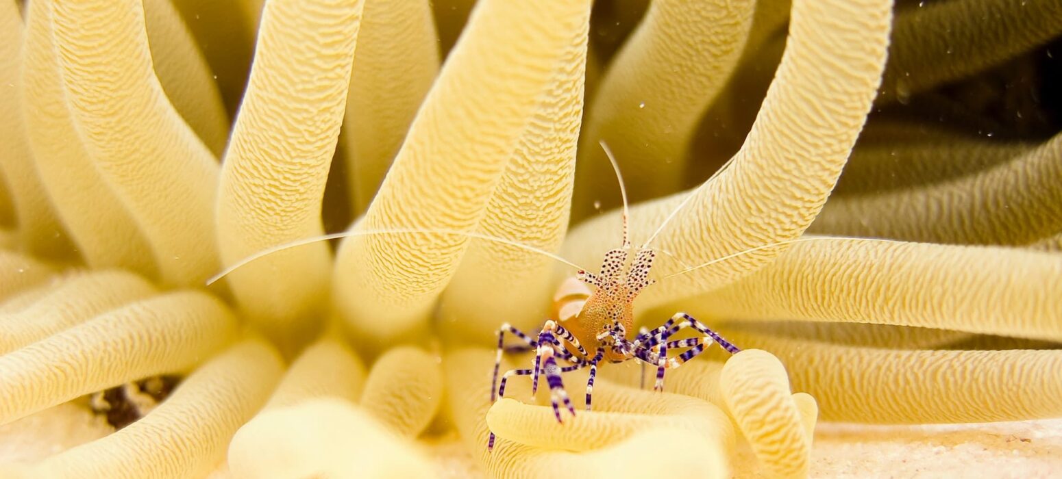 vlad-tchompalov-_7XN99m1yRg-unsplash